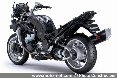  La Ninja qui ne vous cassera pas