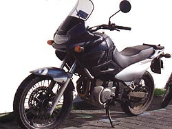 freewind-1.jpg (19375 octets)