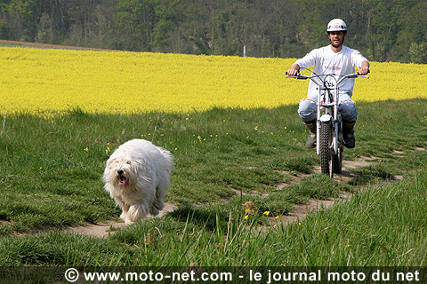 Dossier trial à l'ancienne : les plaisirs simples du trial à l'ancienne