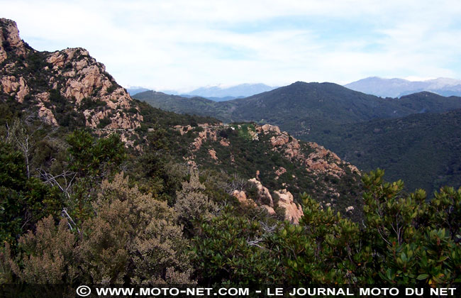 Championnat de France 2009 des rallyes routiers : hécatombe sous le soleil du Rallye de Corse!