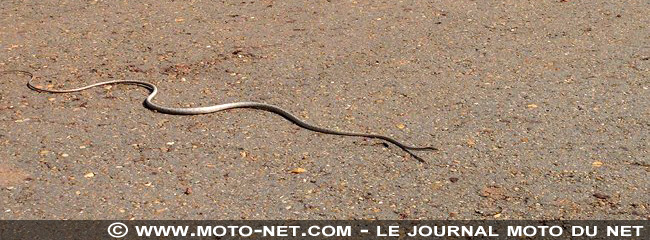 Amérique latine à moto (04) : panne sèche en Amazonie...