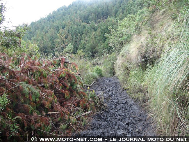 Amérique latine à moto (17) : arrivée en Colombie
