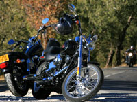 Le HOG dévoile son programme 2009