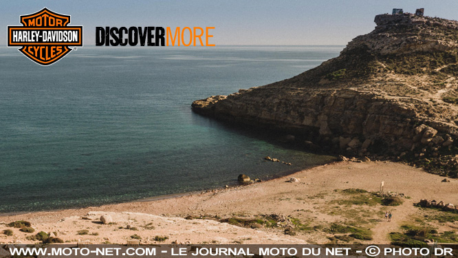 Essayez une Harley... et gagnez un voyage moto en Afrique du Sud