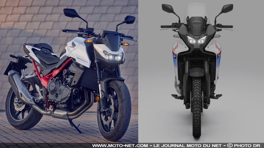 Les Honda Hornet et Transalp 750 se (re)font une beauté 