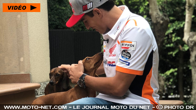 MotoGP : Marc Marquez ne sait pas quand il reviendra... MotoGP : Marc Marquez ne sait pas quand il reviendra...