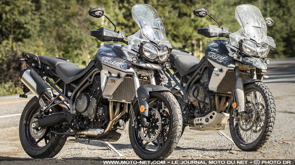 Triumph Tiger 800 XR et XC 2018 : toujours l'embarras du choix